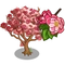 Kwanzan Cherry Tree-icon