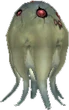 Amoeban (FFXI)