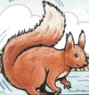 TheSquirrel