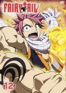 FT DVD12