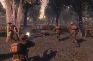 British cod2
