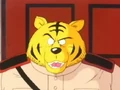 RRTigerMessenger