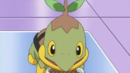 Rowan Turtwig