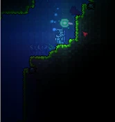 Demon altar jungle