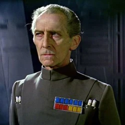 Closeuptarkin