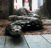 Nagini-1-