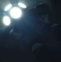 Zane.jpg