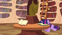 Twilight Sparkle face book S2E18