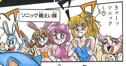 Sonic's Bodyguard Platoon