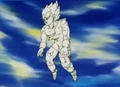 VegetaStonedLiterally