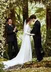 BDwedding
