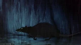 Tramp-disneyscreencaps com-7394
