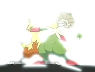 EP358 Combusken vs Breloom