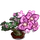 Flowery Bonsai Tree-icon