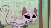 Gallery-Kat-14 (52)