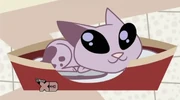 Gallery-Kat-14 (216)