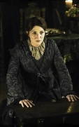Catelyn-stark-michelle-fairley-helen-sloan