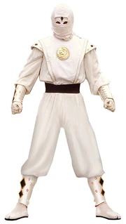Mmpr-whiteninja