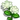 Double Pikake-icon