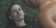 Bella-ground