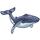 Humpback Whale