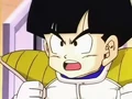 Dbz060 20120224-14141755