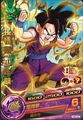 Gohan Heroes 20