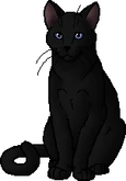 Blackstar.leader.alt.png