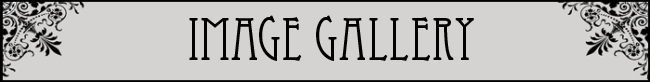 ImageGallery title
