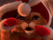 Oh Cute fuzzy thing