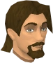 Sir Gawain chathead.png