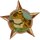 Hypnotoad
