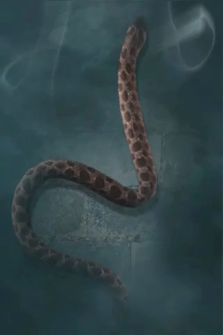 Common adder.PNG