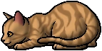 Owlwhisker.kit.png (6 KB) Owlwhisker.kit