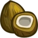 Coconut-icon