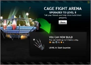 CageFightArenaLevel8