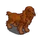 English Cocker Spaniel-icon