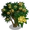 Yellow Plumeria Tree-icon