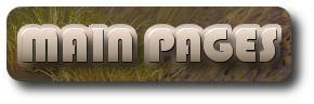 MainPages.jpg