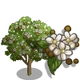 Kamani Nut Tree-icon