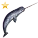 Narwhal