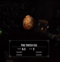 Pine Thrush Egg