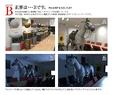 Foxengine2
