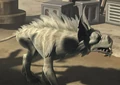Marrok-Bounty.jpg