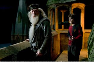 Dumbledore&Harry