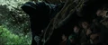 Jackson Ringwraith.png