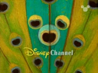 DisneyPeacock1999