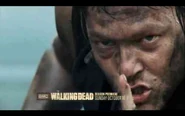 Daryl-3-the-walking-dead-25867325-500-313