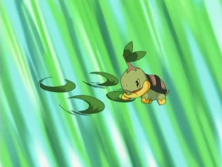 Satoshi Gimnasio Vetusta Turtwig_hojas_navaja