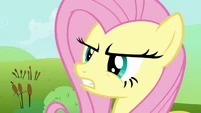 Fluttershy manning up S2E19